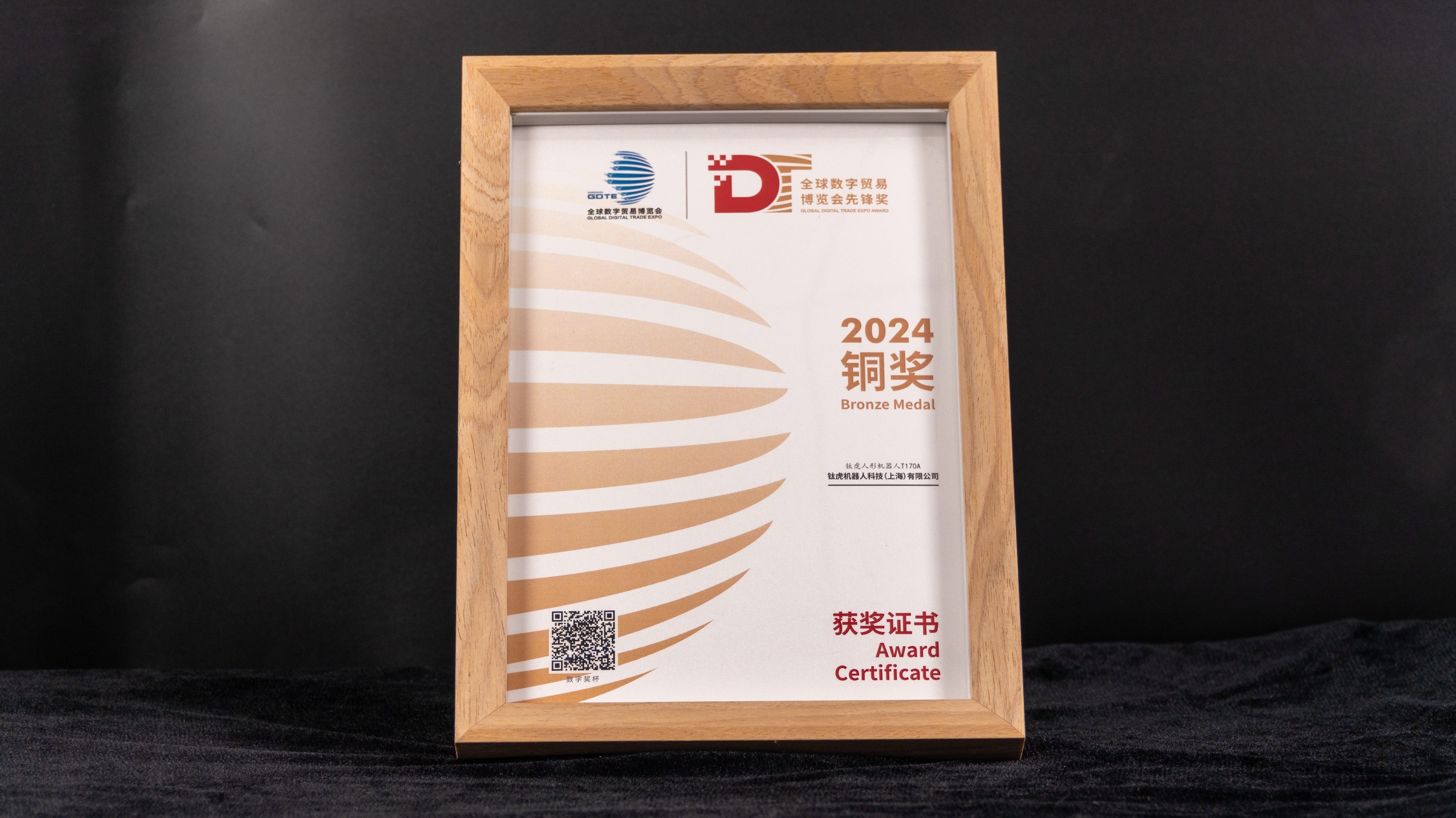 DT全球数字贸易博览会先锋奖 铜奖